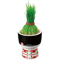 Seishin Kokeshi Grass - Bobbed