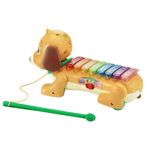 Vtech Zoo Jamz Doggy Xylophone