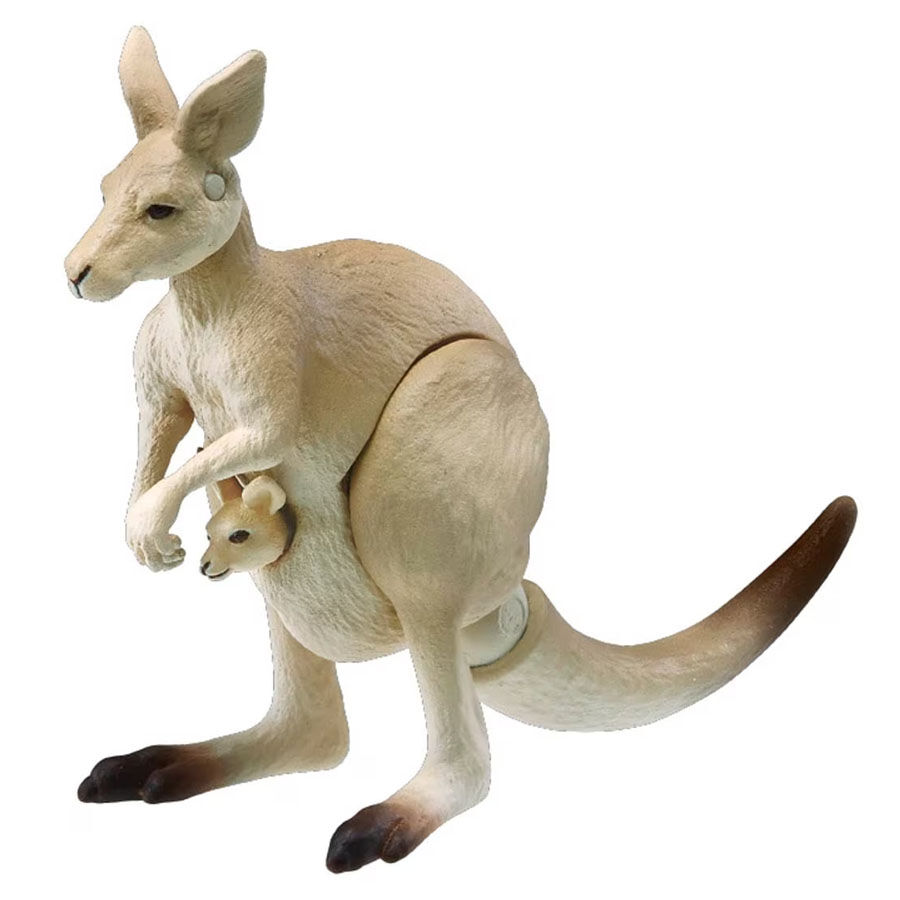 Takara Tomy Ania Animal AS-21 Kangaroo | Toys”R”Us – Hong Kong