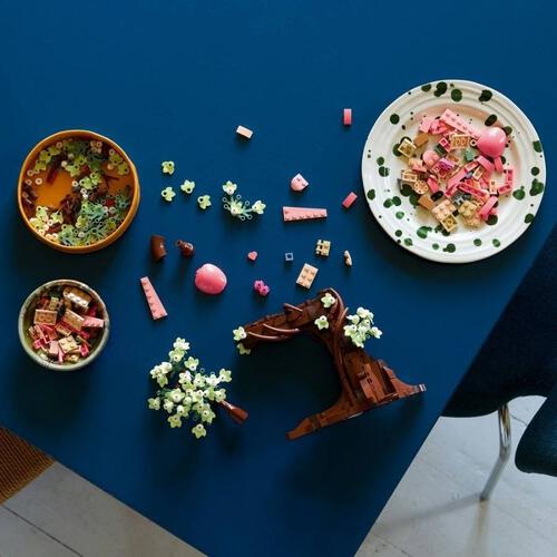 LEGO Ideas 情侶鸚鵡 21365