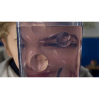 The Original Sea Monkeys Ocean Zoo - Assorted (1 Pc)