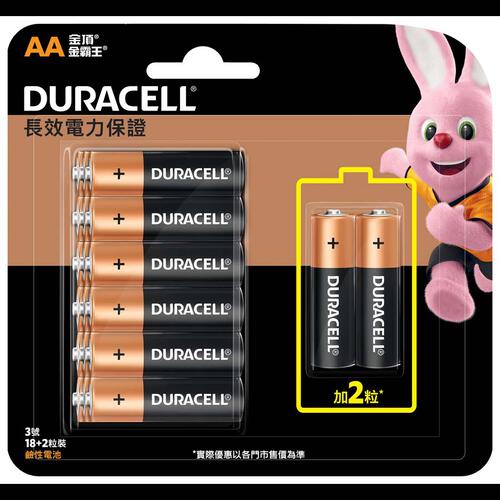 Duracell Alkaline AA Batteries 20 Pack