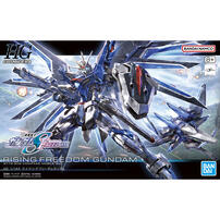 Bandai萬代 HG 1/144 飛昇自由高達