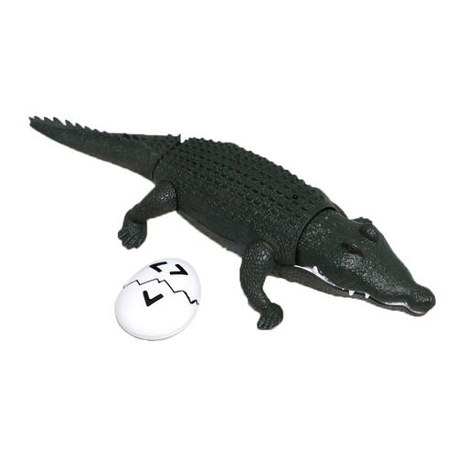 Discovery Toy Rc Crocodile