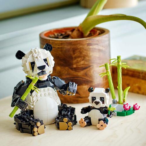 LEGO樂高創意系列 野生動物：熊貓家庭 31165