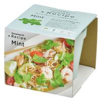 Seishin Recipe - Mint
