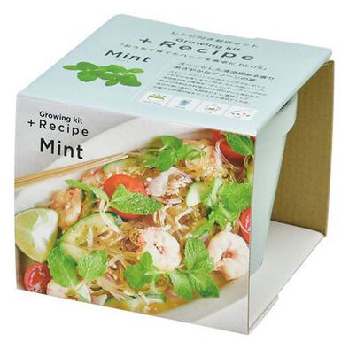 Seishin Recipe - Mint