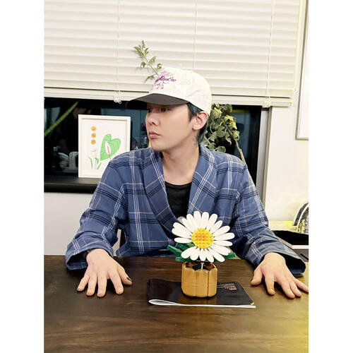 Oxford G-Dragon 818 Bloom Bricks