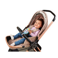 Vtech偉易達 小河馬寶寶電話