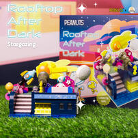 Peanuts Rooftop After Dark Building Blocks - Stargazing