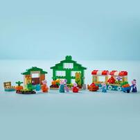 LEGO樂高得寶系列 爺爺的菜園和溫室 10461