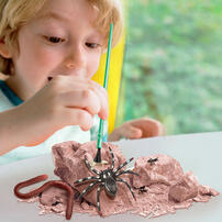 4M 昆蟲挖掘自然教育玩具套裝