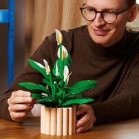 LEGO Botanicals Peace Lily 11504