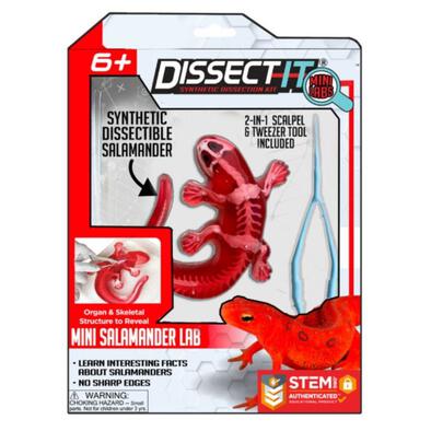 Dissect It Synthetic Dissection Salamand