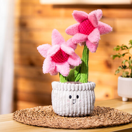 playpop 菊花毛絨玩具