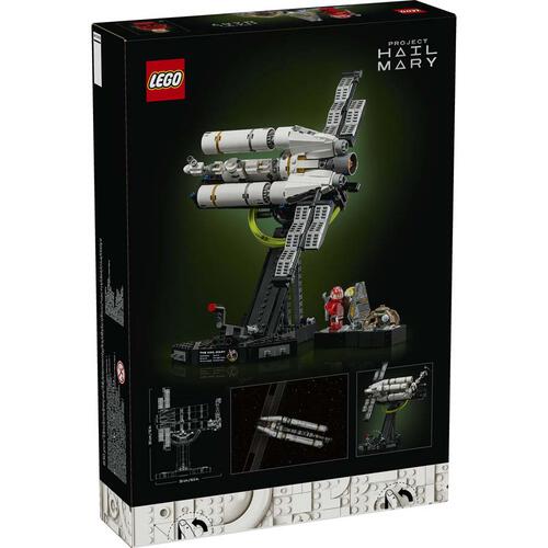 LEGO Icons 聖母計畫 11389