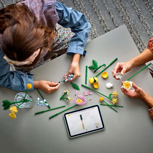 LEGO Botanicals Petite Sunny Bouquet 10347