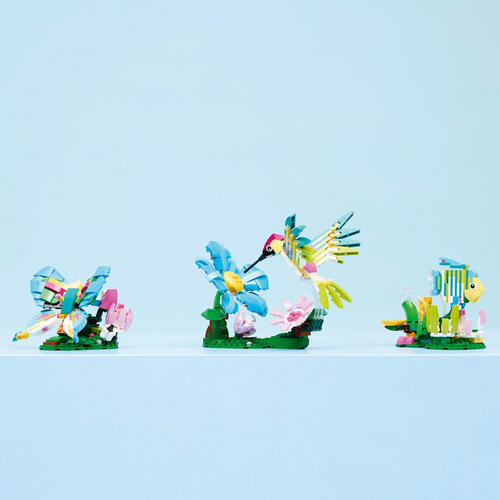 LEGO樂高創意系列 野生動物：多彩蜂鳥 31384