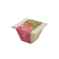 Seishin Bagasse Green Eco - Radish