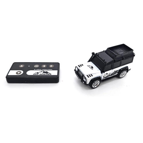playpop Radio-Controlled Mini Off-Roader