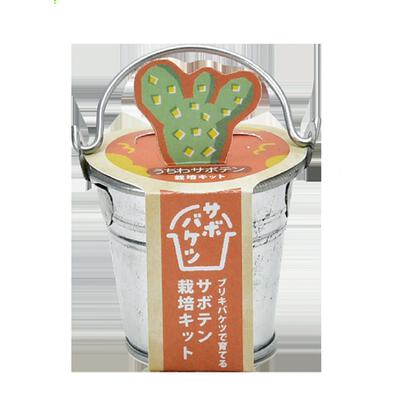Seishin 聖新陶芸 仙人掌迷你鐵桶種植套裝 - 團扇仙人掌 GD-103403