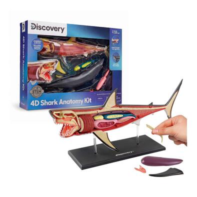 Discovery Toy Shark Anatomy Kit