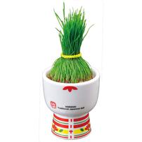 Seishin Kokeshi Grass - Ochobo