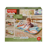 Fisher-Price Roly-Poly Panda Play Mat