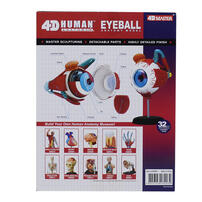 4D Human Anatomy Eyeball Anatomy Model