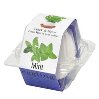 Seishin 蛋殼小盆栽 - 薄荷