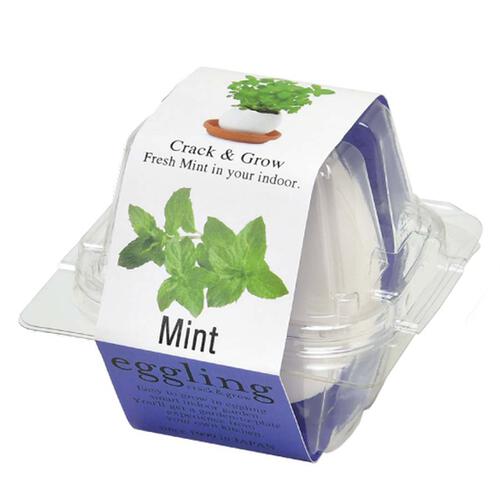 Seishin 蛋殼小盆栽 - 薄荷