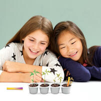 4M Green Science Weather Science