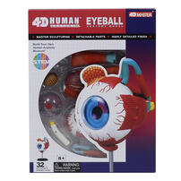 4D Human Anatomy 人體解剖學眼球模型