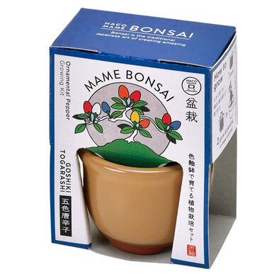 Seishin Haco Mame Bonsai - Brown/Five-Colored Pepper