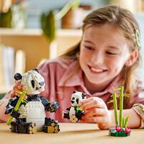 LEGO樂高創意系列 野生動物：熊貓家庭 31165