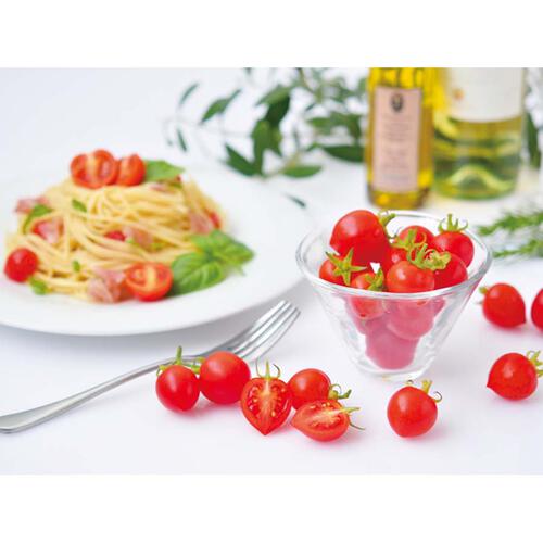 Seishin 心型番茄小盆栽