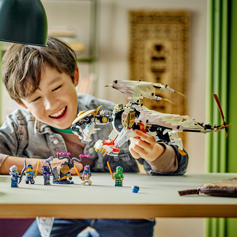 Master from ninjago sales