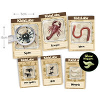 4M 昆蟲挖掘自然教育玩具套裝